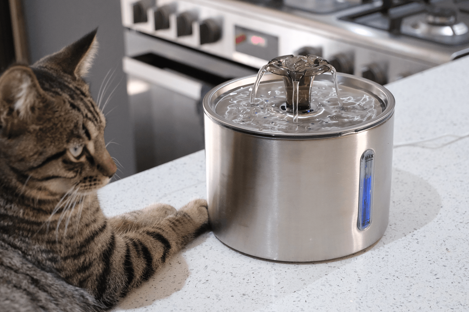 Pet Water Fountain — alternate product view