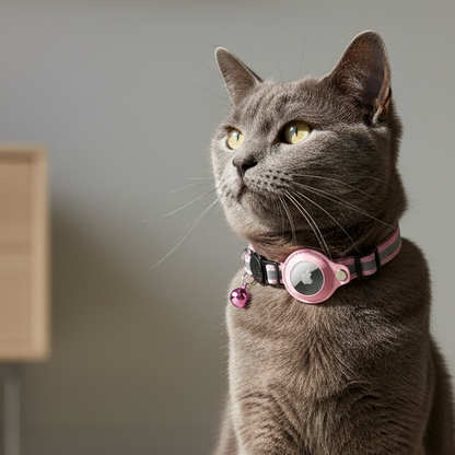 Grey cat wearing a pink Airtag-compatible cat collar with tracker holder and bell, photographed in a modern interior with soft natural lighting.