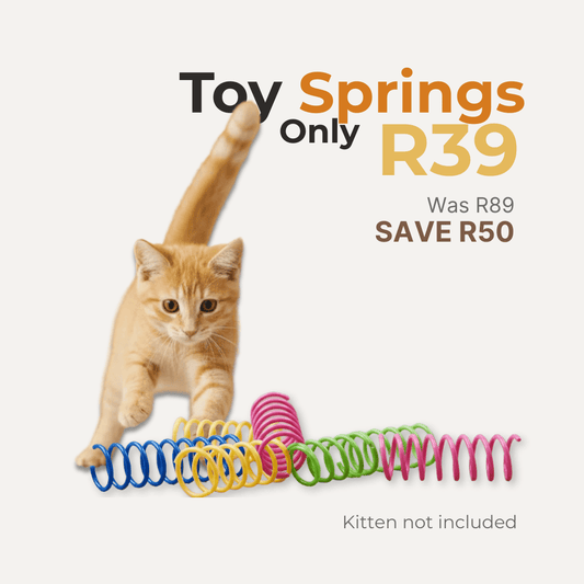 Plastic Spring Cat Toys 16 Pack | Plain Pack