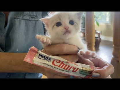 Inaba Churu Creamy Lickable Cat Treat Tubes (4 Pack) | The Interrogation Snacks
