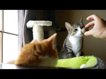 Pawbreakers Original Catnip Ball | The Green Round