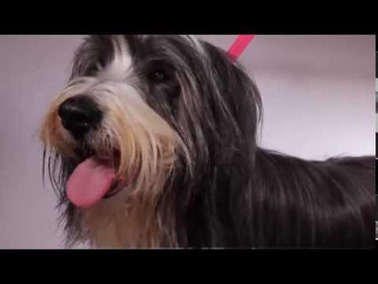 Mikki Soft Pin Slicker grooming demonstration