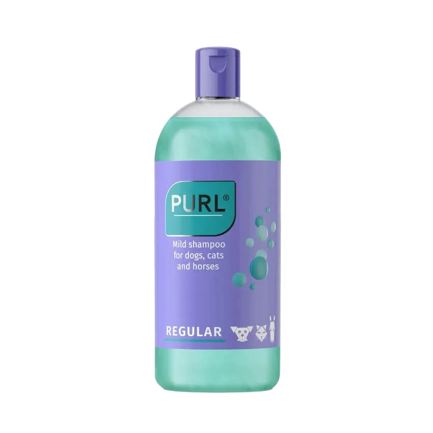 PURL Regular Shampoo 500ml | The Routine Wash
