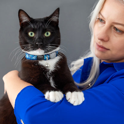 Black and white cat wearing a Rogz FashionCat Safety Collar in Amphibian Blue with bell