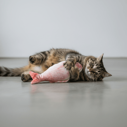 Catnip trout plush toy on floor while tabby cat lies playing