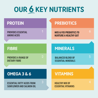 List of six key nutrients for Naturo Salmon pate sachets with brief descriptions on a light blue background