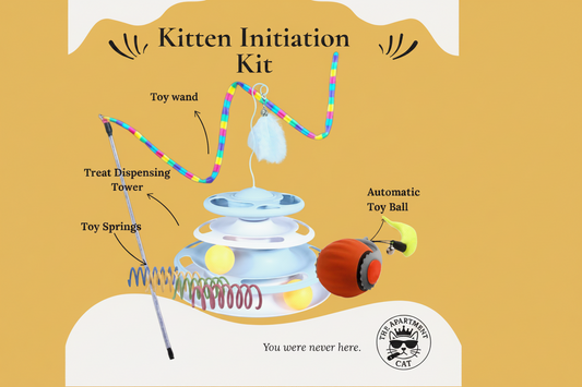 Kitten toy bundle with tower, auto ball, teaser wand, and toy springs from The Apartment Cat.