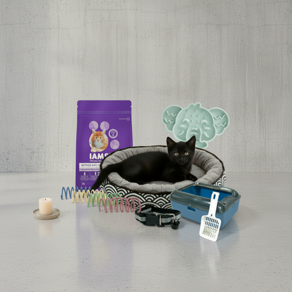 Kitten starter bundle with food, bed, litter tray, collar, lick mat, and toys - The Apartment Cat. 
