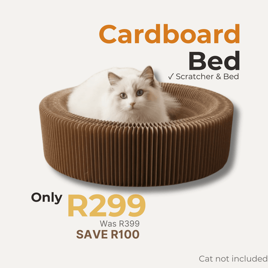A fluffy white cat sits inside a round brown corrugated cardboard cat bed with text overlays reading 'Cardboard Bed' and pricing information on a light beige background.