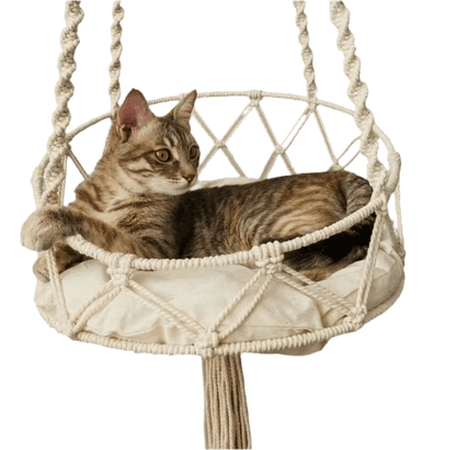 Macramé hanging cat hammock with cushion, holding a tabby cat