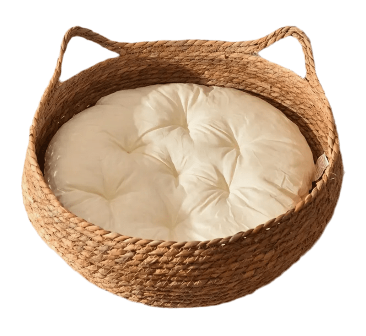 Woven cat bed with rounded basket frame and cream padded cushion.