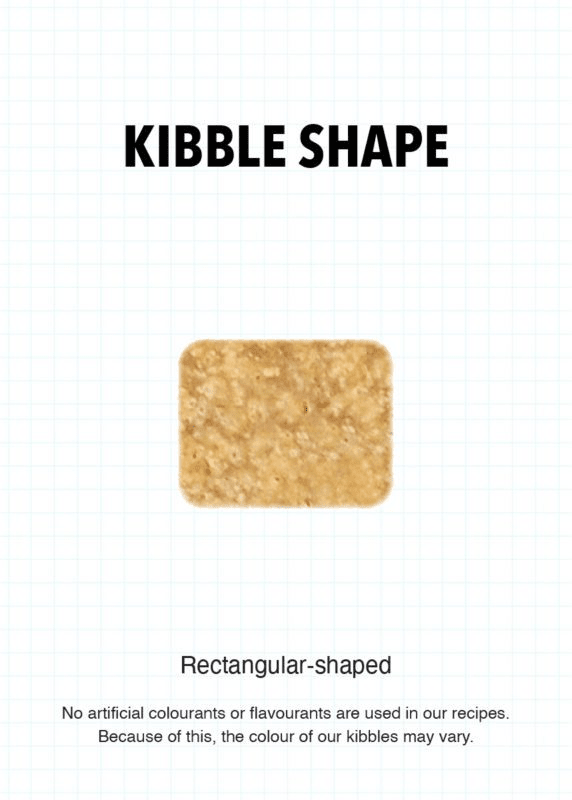 Adult cat food kibble shape detail showing rectangular kibble